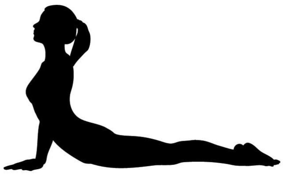 5 øvelser: fits lille yogaskole