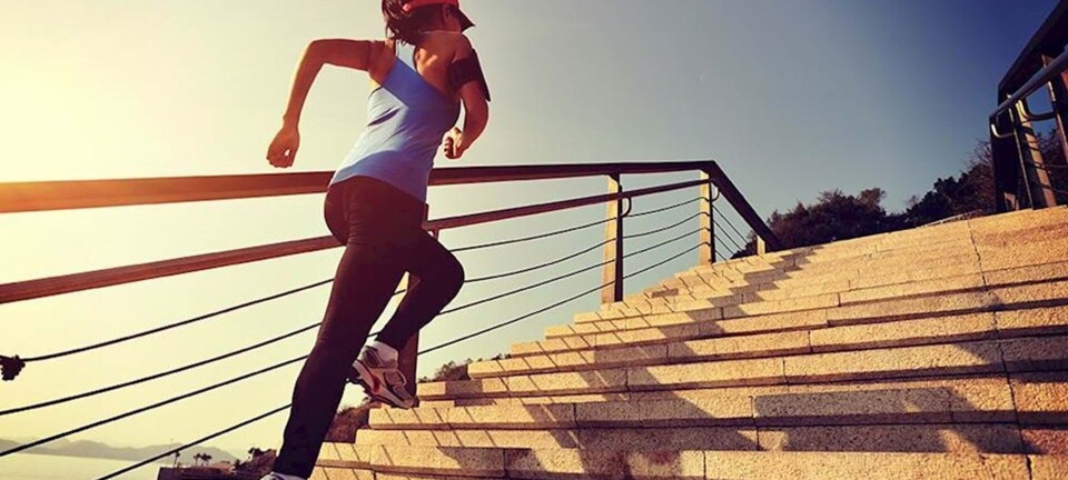 Løbeprogram 10 km: Sådan løber du 10 km på 12 uger