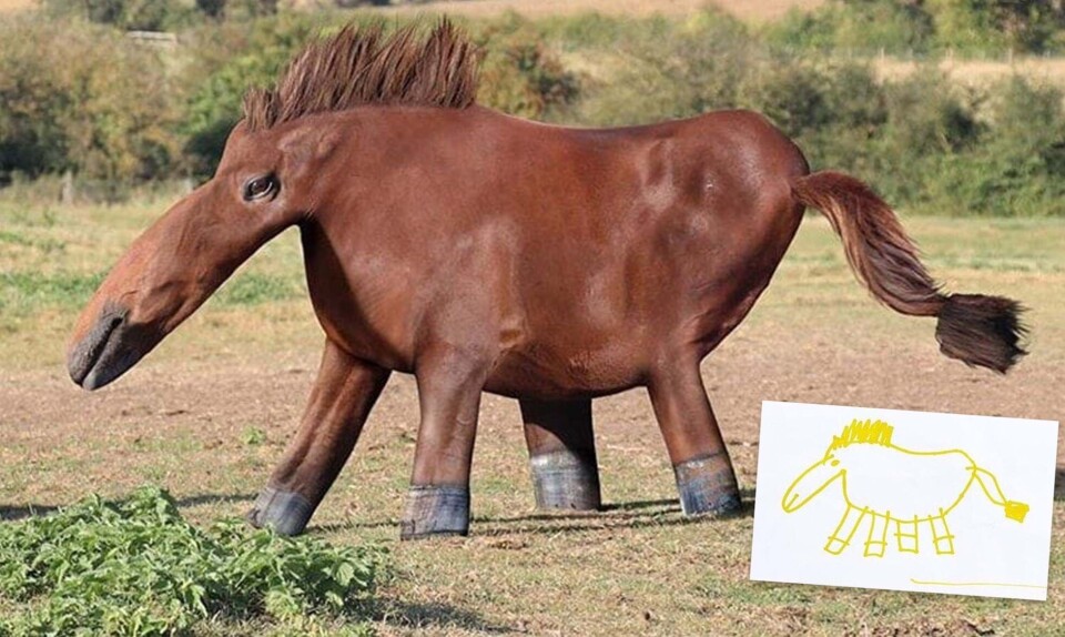 Tegning af en hest