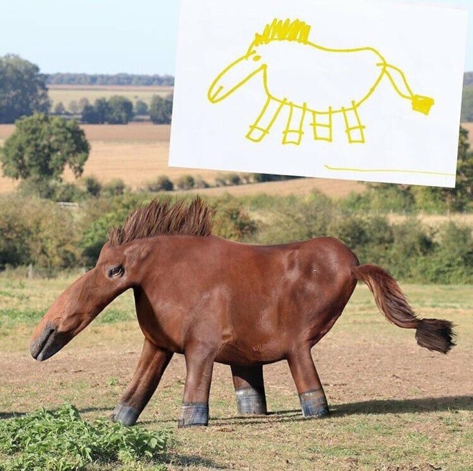Hest.jpg