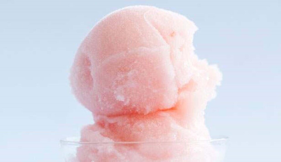 Opskrift på dessert med champagnesorbet
