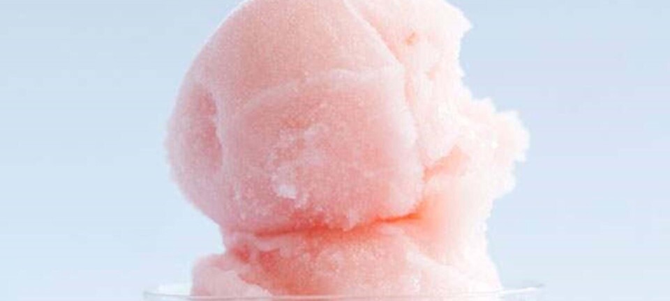 Isdessert: Pink champagnesorbet