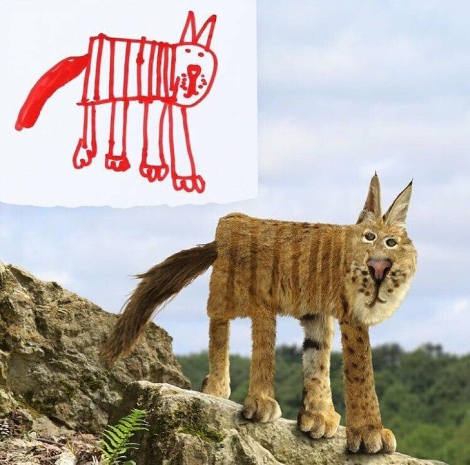 Puma.jpg