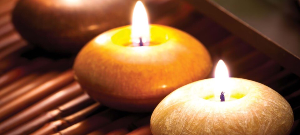 6 råd: Sådan undgår du edderkopper i huset