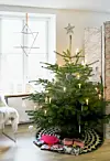 Farverig lejlighed: Stjernedrys & pangfarver