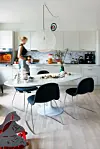 Farverig lejlighed: Stjernedrys & pangfarver