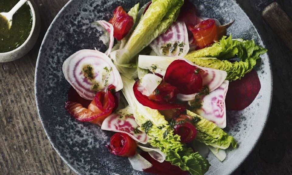 Opskrift på salat med gravad laks og rævesauce