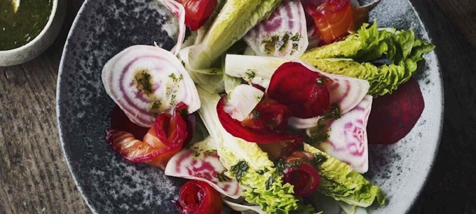 Salat med gravad laks og rævesauce
