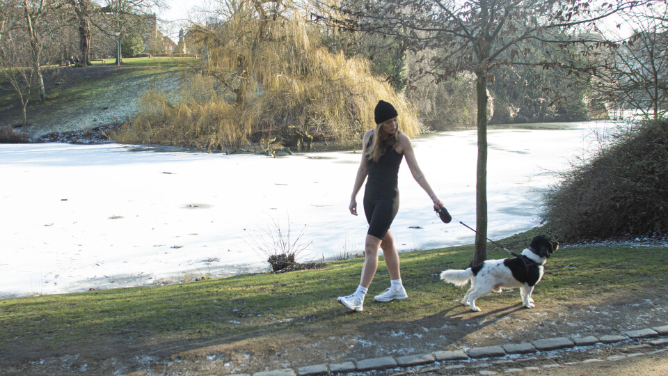 Josefine går tur sammen med hunden Bacon i H.C Ørstedsparken i top og shorts og træner sit kredsløb og sin mentale styrke ved at eksponere sig selv for kulde.