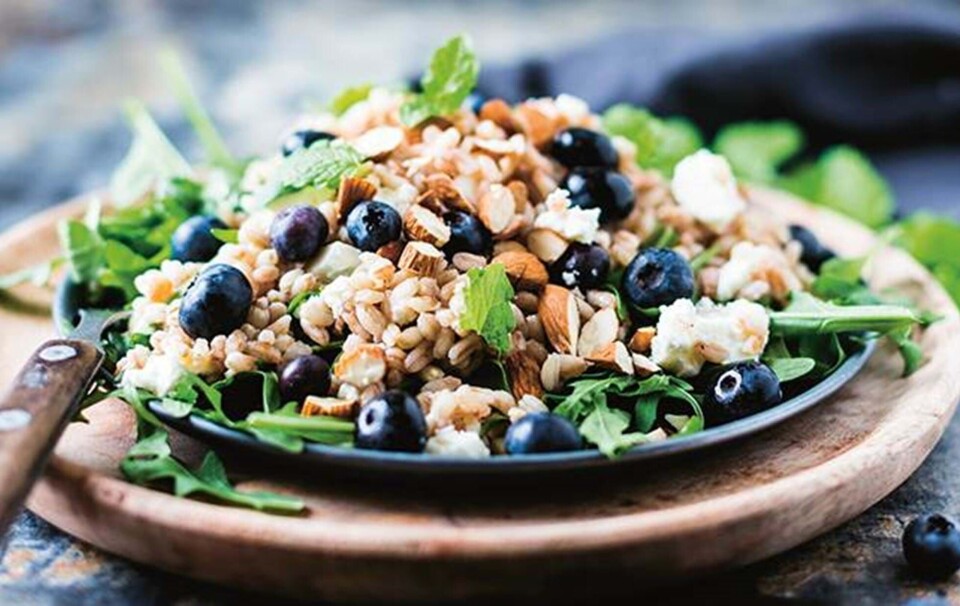 Spelt salat med feta, rucola, blåbær
