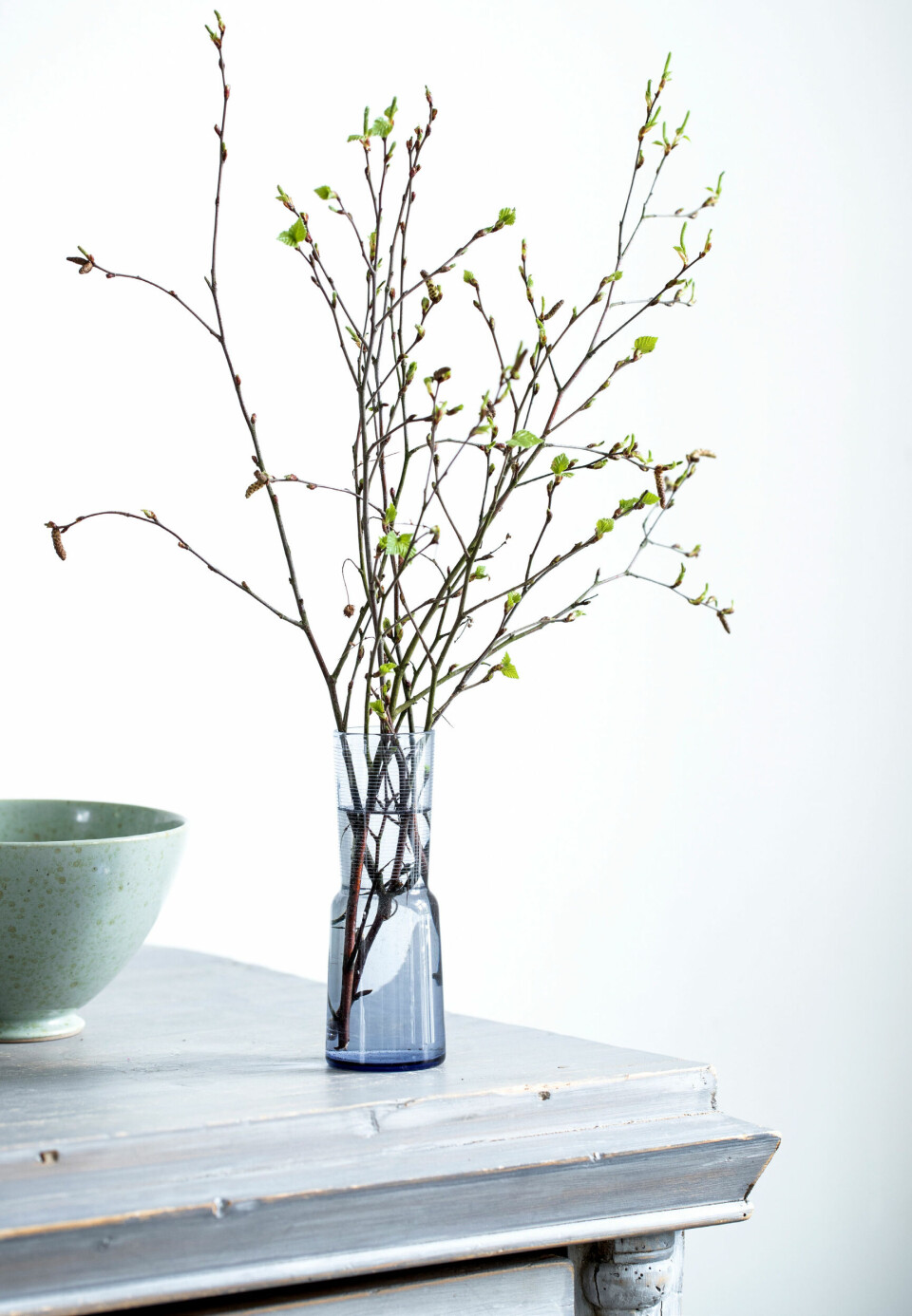 Forår på spring: Sådan får du grenene til at blomstre