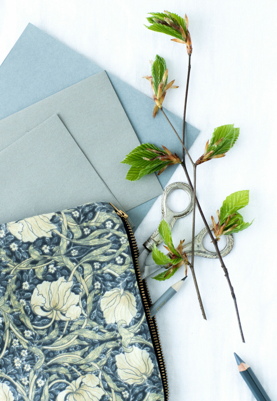 Forår på spring: Sådan får du grenene til at blomstre