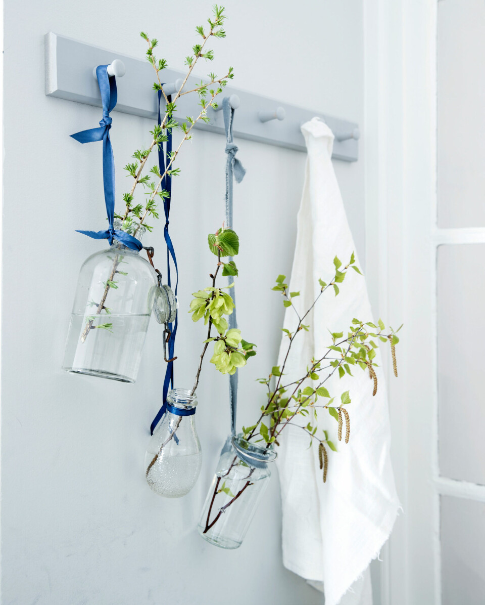 Forår på spring: Sådan får du grenene til at blomstre