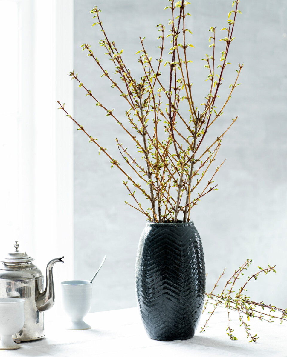 Forår på spring: Sådan får du grenene til at blomstre