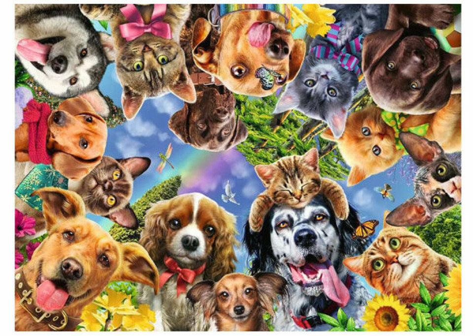 Animal_Selfie.jpg