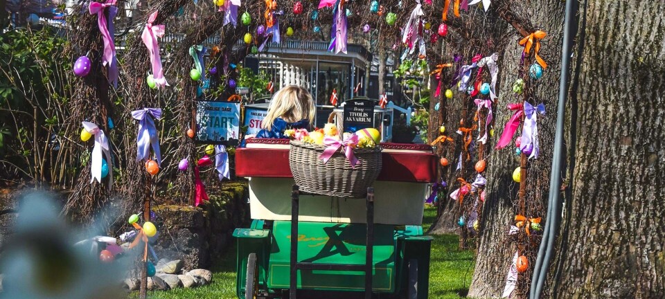 Savner du inspiration til påskeferien? Her er seks sjove aktiviteter, du kan lave