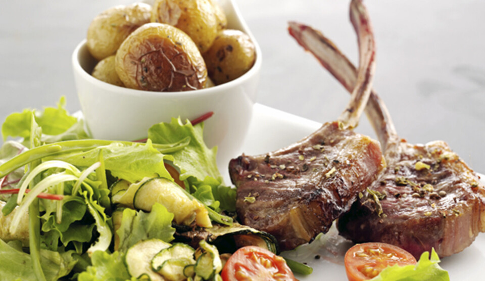 Opskrift på lam med bønnesalat