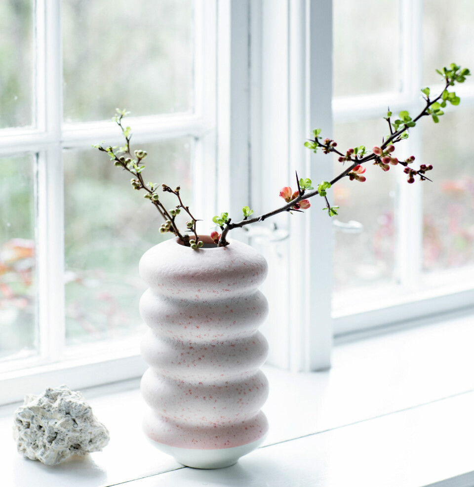 Forår på spring: Sådan får du grenene til at blomstre