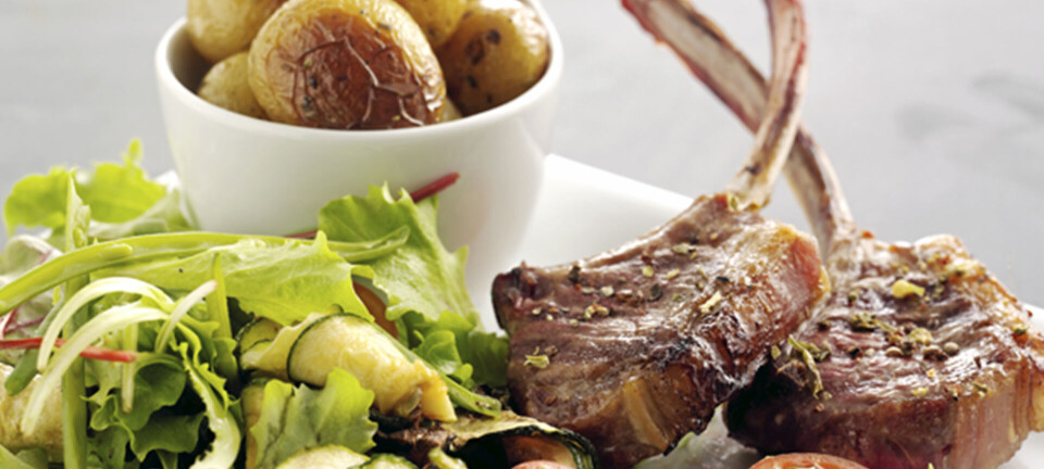 Lam med fyldig salat