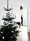 Juletræ