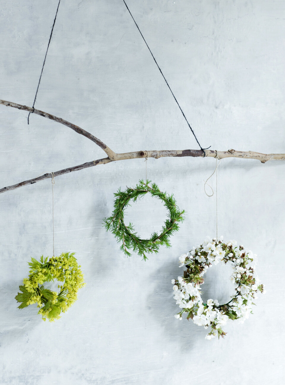 Forår på spring: Sådan får du grenene til at blomstre