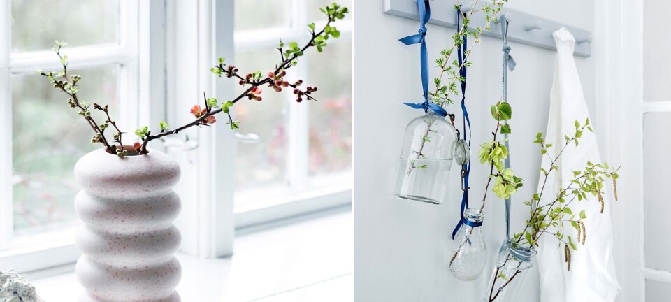 Forår på spring: Sådan får du grenene til at blomstre