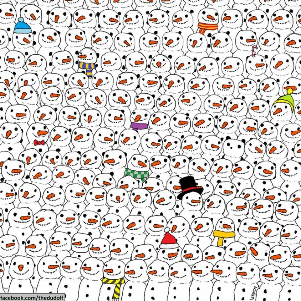 panda-snemand.jpeg