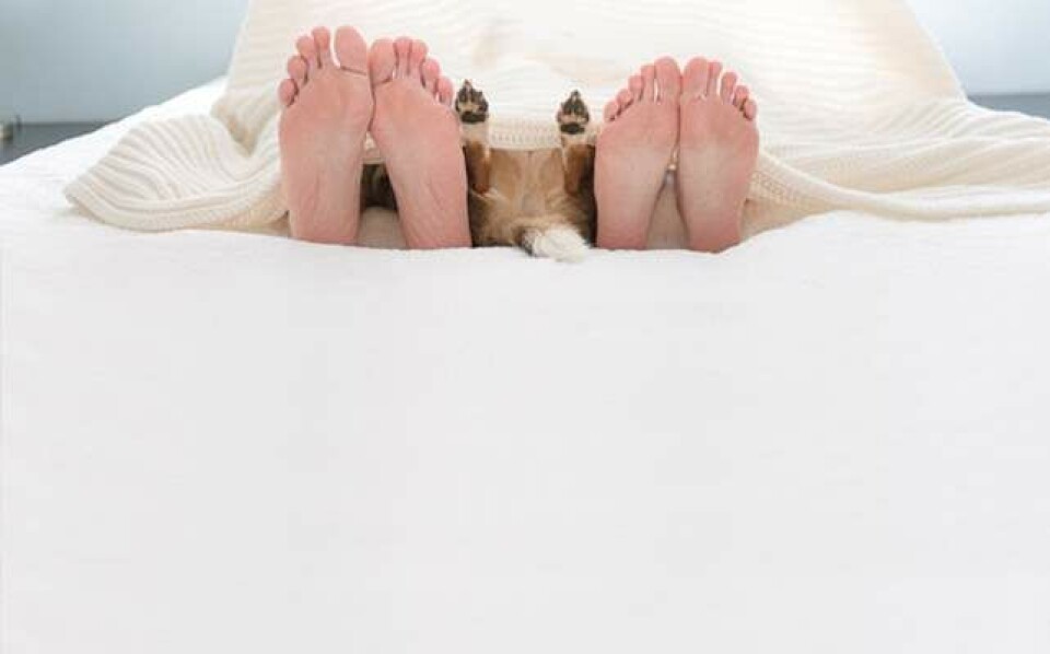 Hund fotograferet som baby er blevet et viralt hit