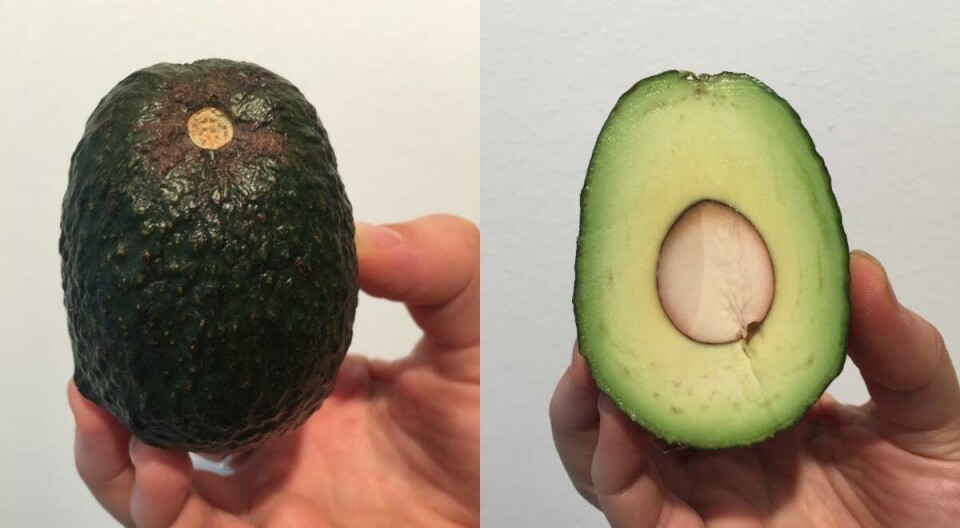 Dette lille trick kan hjælpe dig til at vælge den perfekte avocado