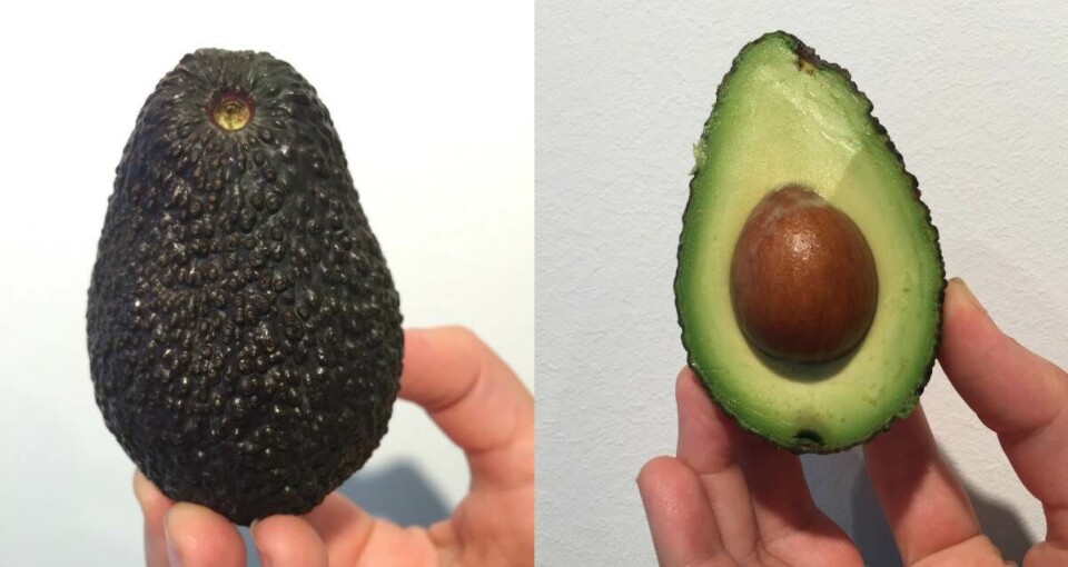 Dette lille trick kan hjælpe dig til at vælge den perfekte avocado