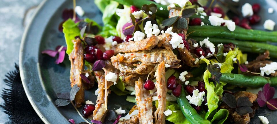 Nem salat med pulled and og granatæble