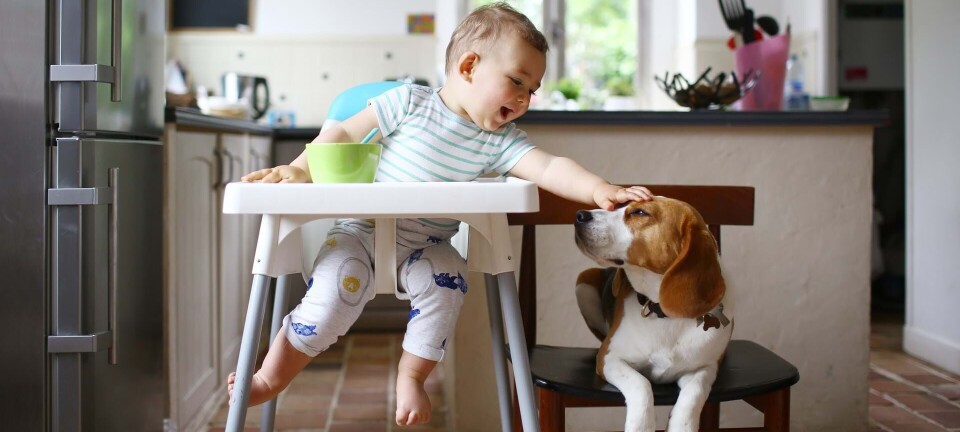 Her er 150 navne, der både virker til baby og dyr