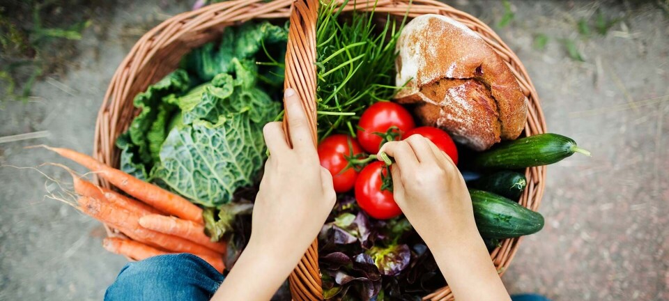 Inspiration til et sundere liv