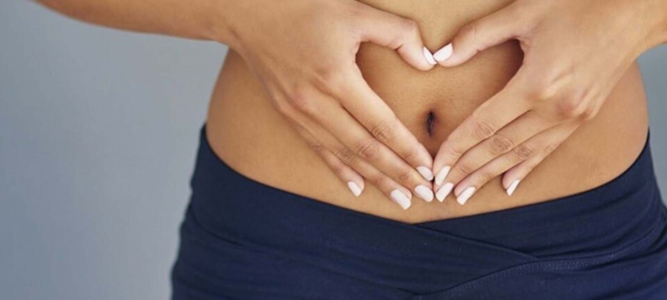 Mælkesyrebakterier til maven