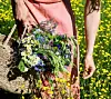 Blomsterdekoratør: Her er årets sommerbuket(!)
