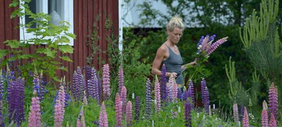 Louise Bruun: Stabiliser blodsukkeret og hold hjernen aktiv