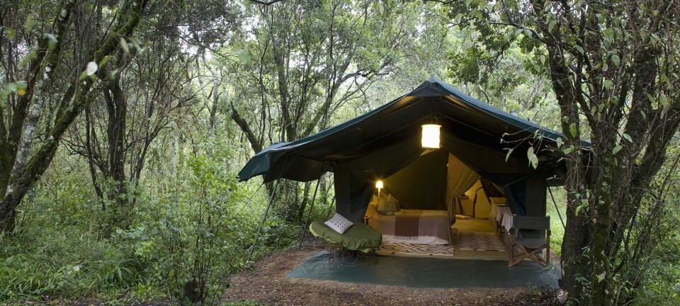 Tag på glamping i sommerferien