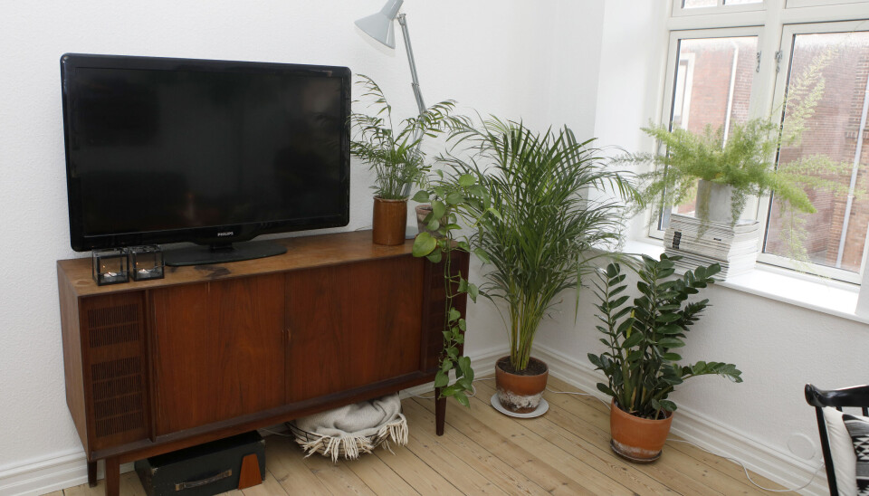 Foto: Niels Henrik Dam