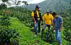 SUSTAINABILITY_AAA_ECOLABORATION_AAA_COLOMBIA_CAUCA_2012_071620121538