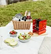 Sommerens smarteste grill til picnic-turen!