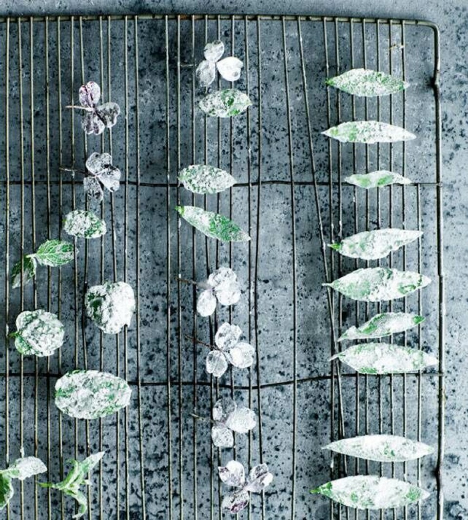 Appelsinkage med mynte og kandiserede urter