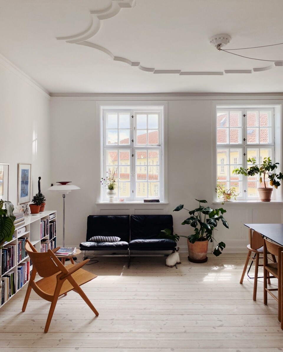 Sofaen købte Line på en auktion, da hun var 18-19 år og kommer til at følge hende resten af livet.