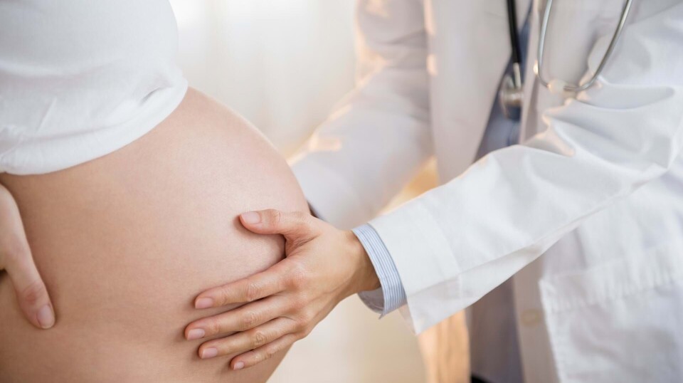 Gravid uge 29: Det er blevet tid til jordemoderbesøg