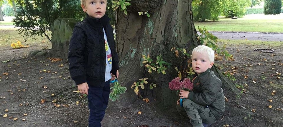 Blog: Kommer kæledyr i himlen?