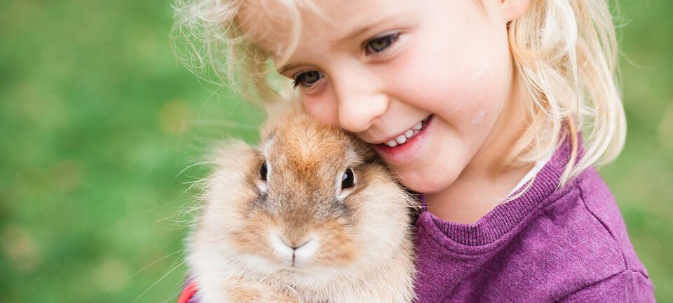 Den store kæledyrsguide: Hvilket kæledyr passer til din familie?