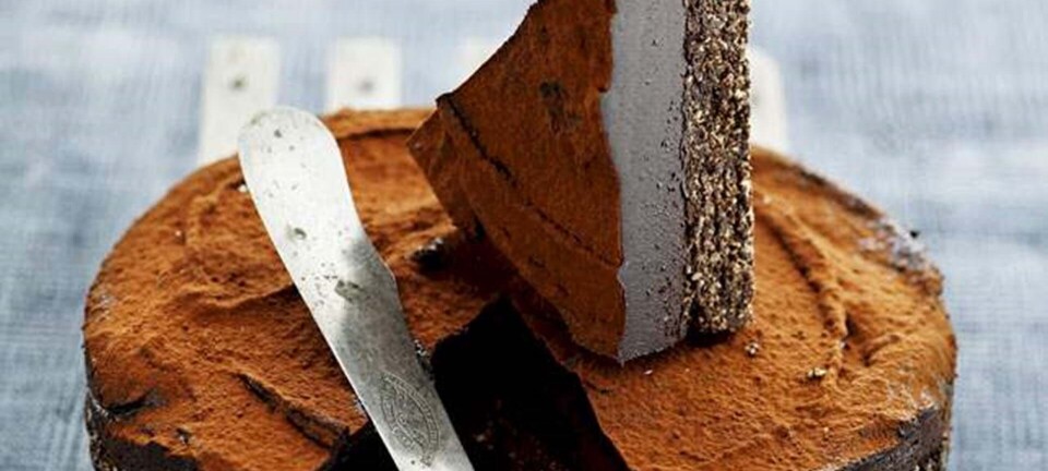 Raw cake: Intens vegansk chokoladetærte