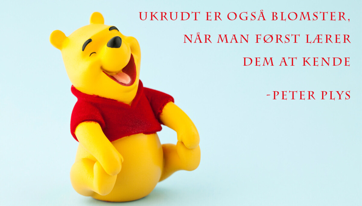Peter Plys Citater 33 Sk nne Citater Se Dem Her peter-plys-citater-33-sk-nne-citater-se-dem-her