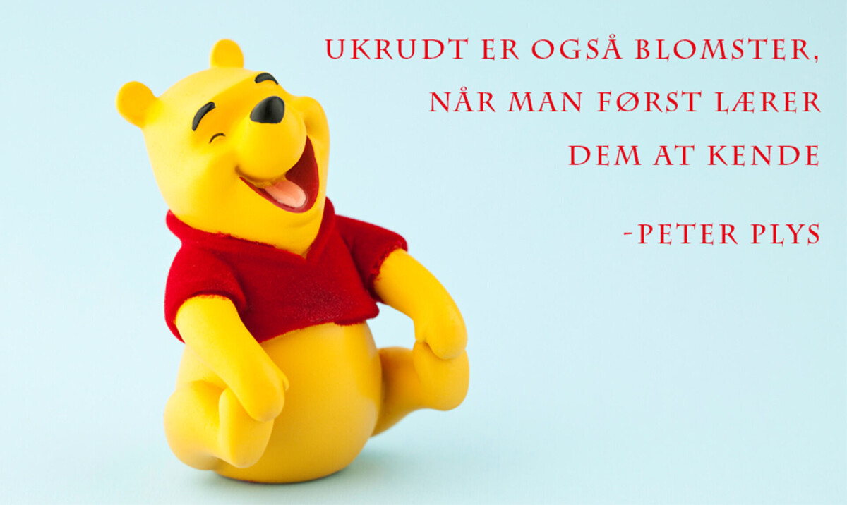 Peter Plys Quotes Bear And Tigger Cross Stitch Pattern Kids Room Peter Plys Quotes Bear And Tigger Cross Stitch Pattern Kids Room