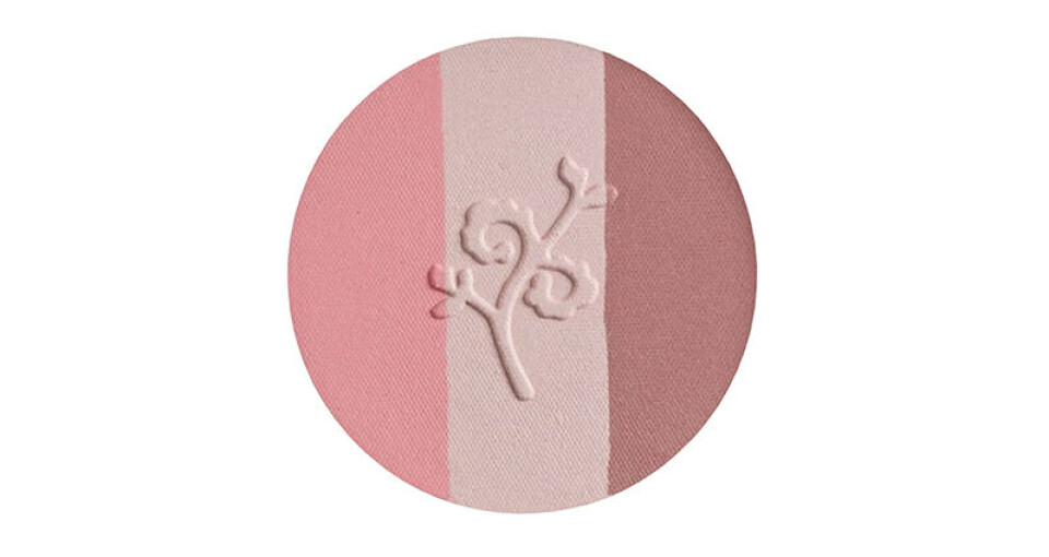blush3.jpg