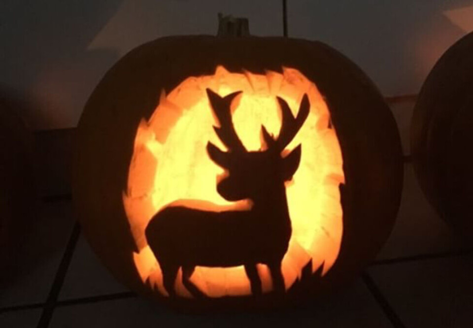 Uhyggelige Halloween-græskar: 12 sjove ideer til græskarudskæring